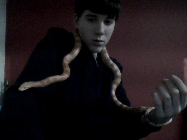 My pet corn snake