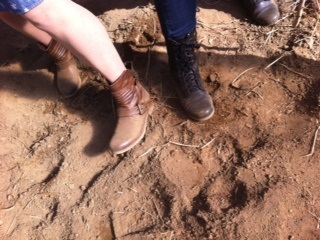 The soil is dry and a plan is in the works with Mr. Fana's class to provide some irrigation.