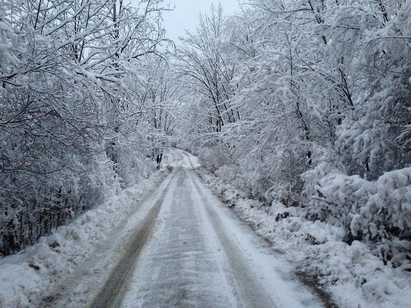 Snow day haiku contest...