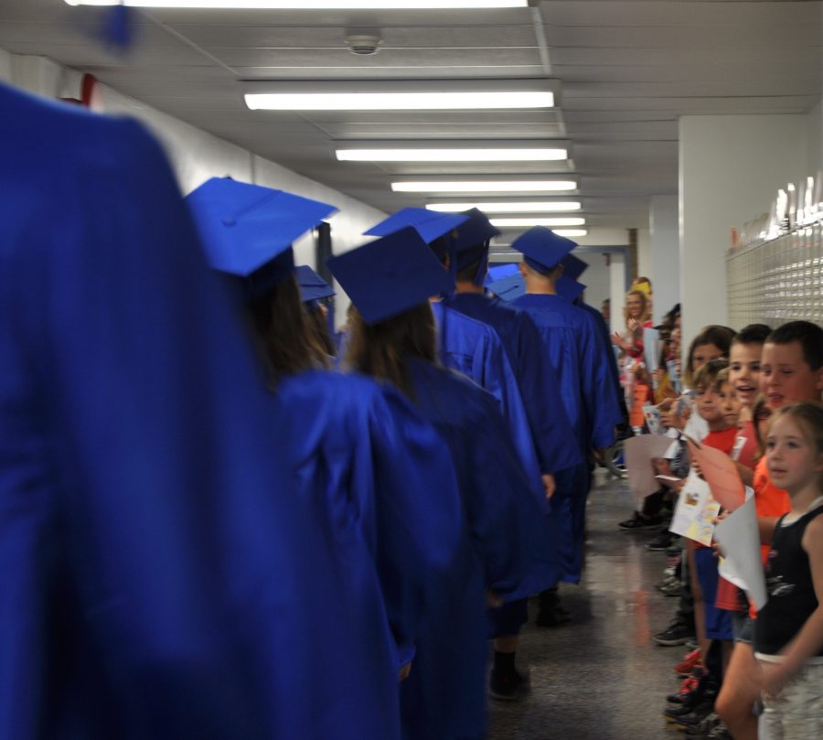 Senior Wills 2016