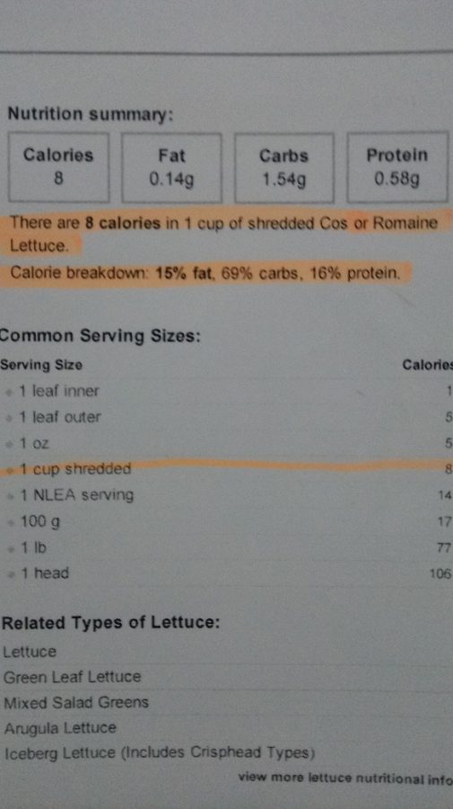 The districts recipe for salad, required to be on hand in a binder. 