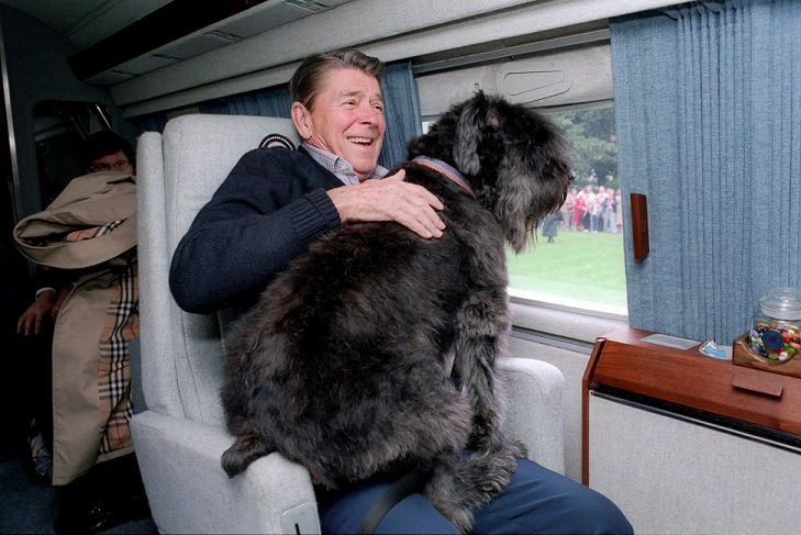 Above: Lucky and Master- Ronald Reagan prepare for a lengthy helicopter ride with Lucky depicting the aforementioned “lap dog” behavior, despite his size.

