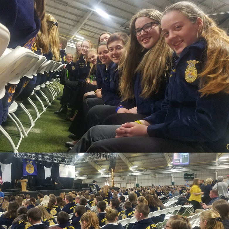 FFA+State+Convention%3A+Fun%2C+Farming%2C+and+Friends