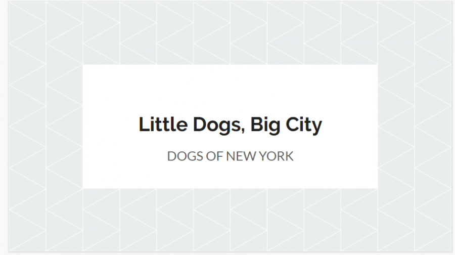 Little+Dogs%2C+Big+City