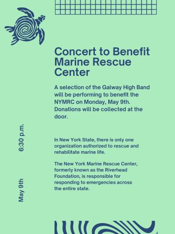 Help Marine Life in New York