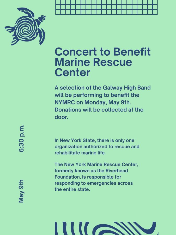 Help+Marine+Life+in+New+York