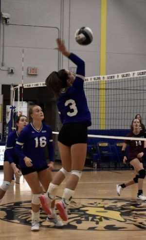 Varsity Volleyball: Senior Spotlight on Sophia Fasolino