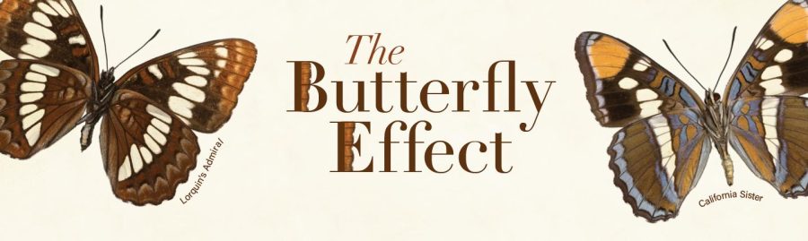 Our Chaotic Universe: The Butterfly Effect
