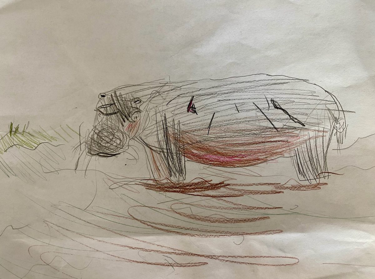 Katie L.s drawing of a hippo