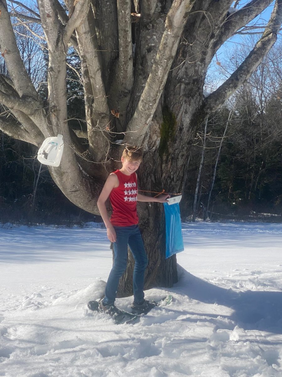One of Mrs. Levine's current projects is happening out in the back fields at school right now,. 8th grader Nate Mele is part of the Maple team for FFA!