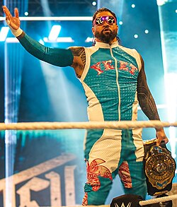 Top 5 Best WWE Wrestlers of 2025
