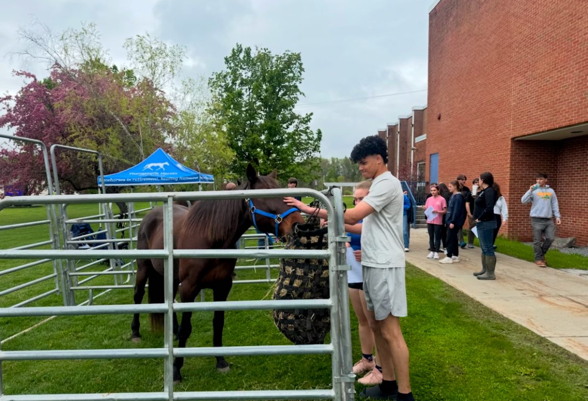 The Wellness Fair
